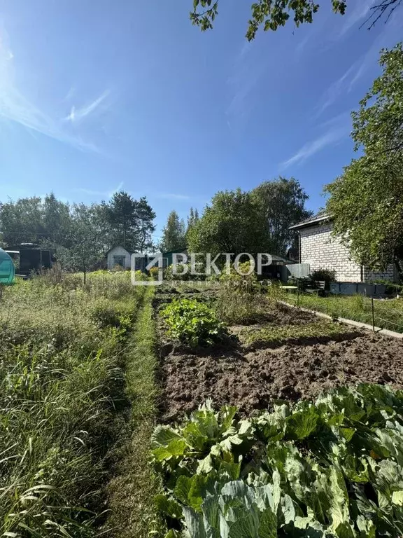 Участок в Костромская область, Кострома Прогресс СНТ, 129 (13.0 сот.) - Фото 1