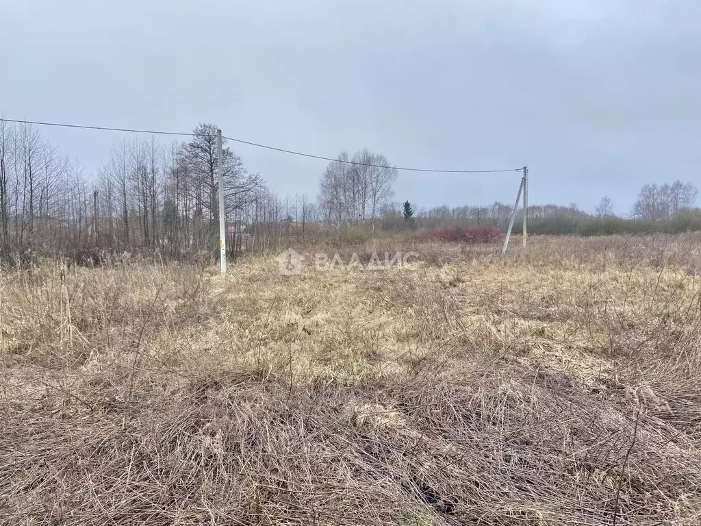 Участок в Калининградская область, Гурьевский муниципальный округ, ... - Фото 0