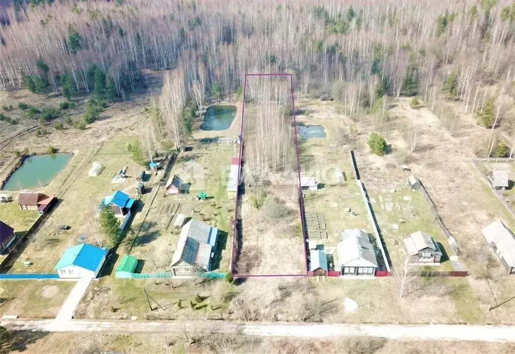 Участок в Владимирская область, Судогодский район, Лавровское ... - Фото 1