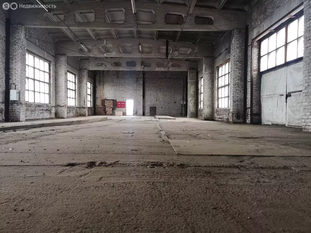 Помещение свободного назначения (745 м) - Фото 2