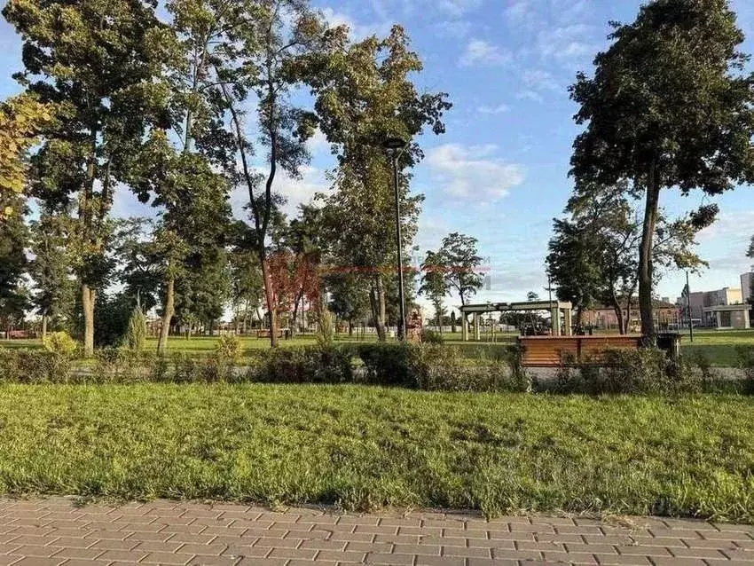 3-к кв. Белгородская область, Старый Оскол Стадионная ул., 10 (56.0 м) - Фото 1