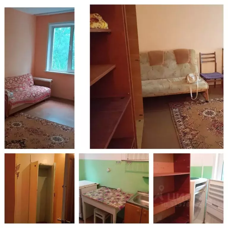 1-к кв. Алтайский край, Барнаул ул. Юрина, 202Ак1 (30.0 м) - Фото 0