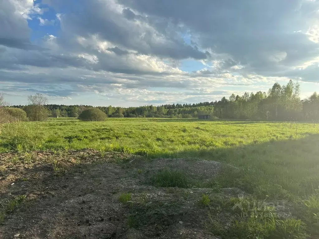 Участок в Московская область, Можайский муниципальный округ, д. ... - Фото 0