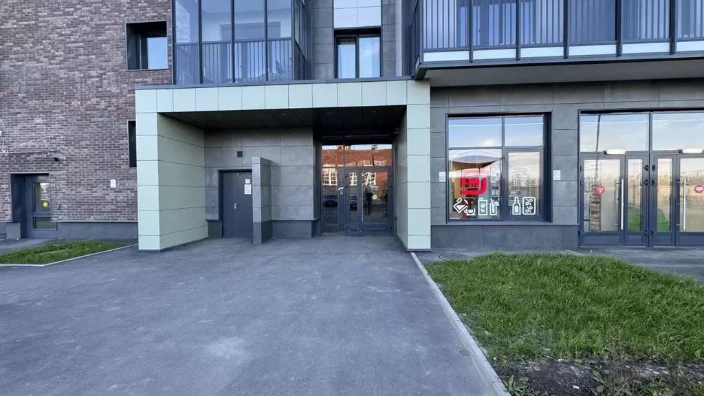 Студия Санкт-Петербург Пулковское ш., 95к3 (25.0 м) - Фото 1