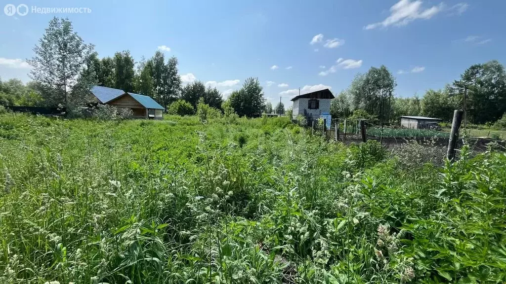 Участок в Майма, улица Ленина (5.43 м) - Фото 1