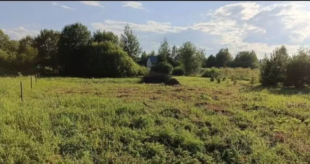 Участок в Ярославская область, Ярославский муниципальный округ, д. ... - Фото 2
