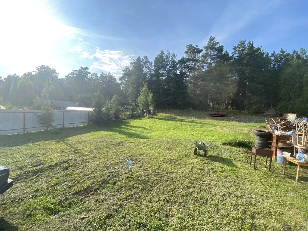 Участок в Алтайский край, Барнаул городской округ, Поселок Борзовая ... - Фото 2