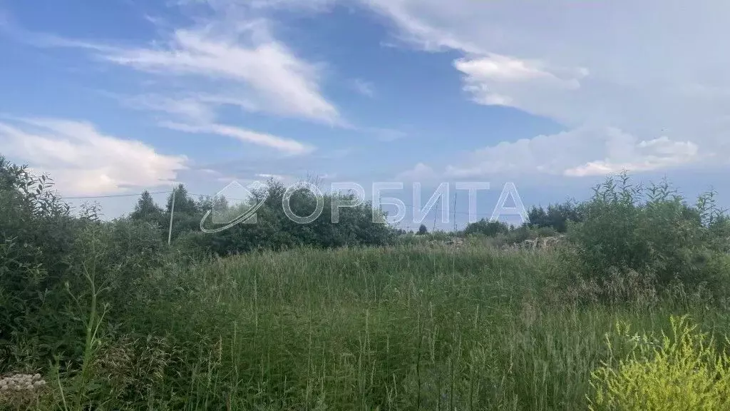 Участок в Тюменская область, Тюмень Поле Чудес-2 садовое товарищество, ... - Фото 2