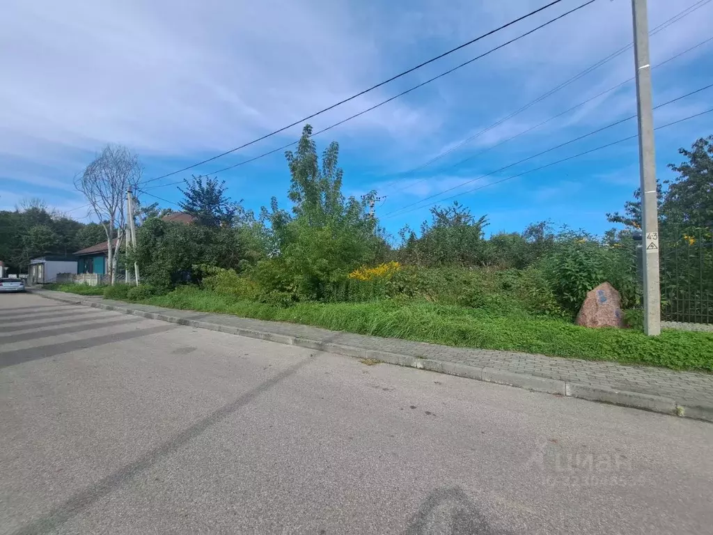 Участок в Калининградская область, Мамоново пер. Бориса Спектора, 1 ... - Фото 1