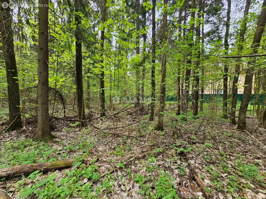 Участок в Наро-Фоминский городской округ, СНТ Новые Черёмушки (20 м) - Фото 1