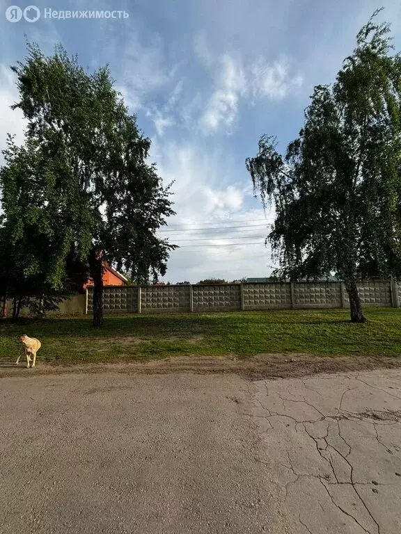 Участок в село Ягодное, Северная улица, 17 (7.77 м) - Фото 1