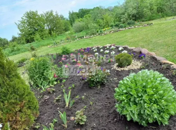 Участок в Липецкая область, Липецкий муниципальный округ, с. Большая ... - Фото 1