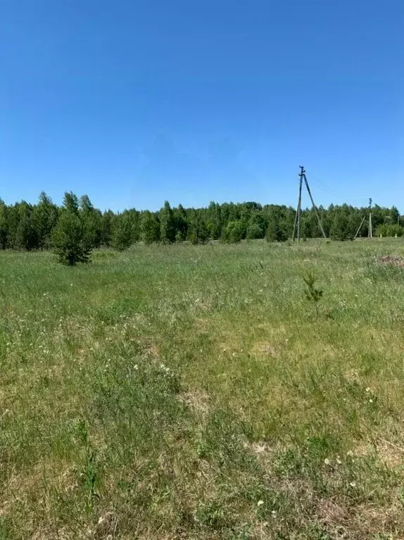 Участок в Челябинская область, Каслинский район, с. Огневское ул. ... - Фото 1