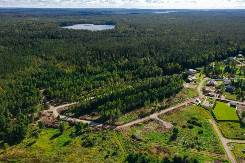 Участок в Ленинградская область, Выборгский район, Приморское ... - Фото 2