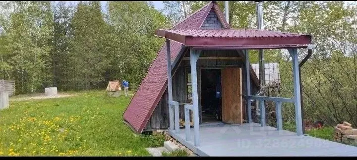 Участок в Новгородская область, Валдайский район, Рощинское с/пос, д. ... - Фото 2