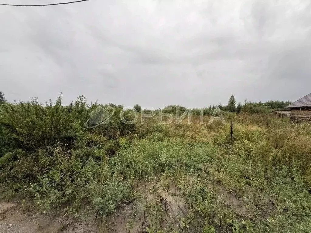 Участок в Тюменская область, Тюмень Луч СНТ, ул. Сиреневая (10.0 сот.) - Фото 1