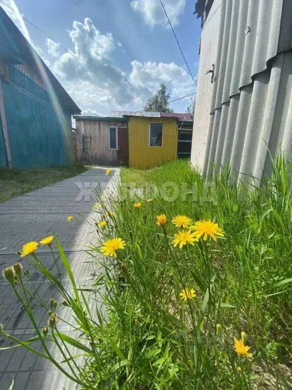 Дом в Ханты-Мансийский АО, Нефтеюганск 11а мкр, ул. Космонавтов (60 м) - Фото 0