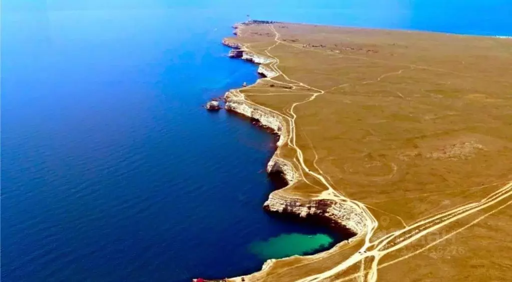 Участок в Крым, Черноморское пгт  (100.0 сот.) - Фото 2