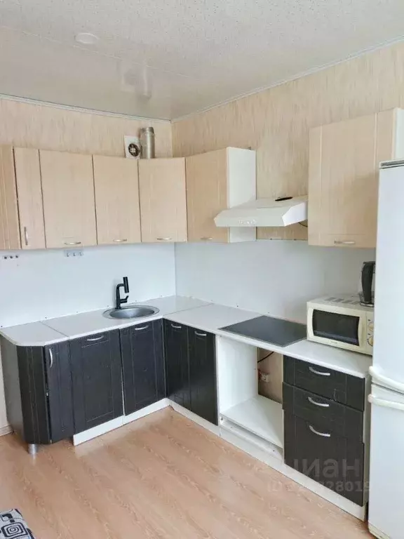 1-к кв. Ленинградская область, Всеволожский район, пос. Щеглово 91 ... - Фото 1