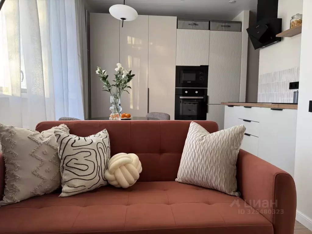 1-к кв. Московская область, Жуковский ул. Чаплыгина, 32 (25.6 м) - Фото 1