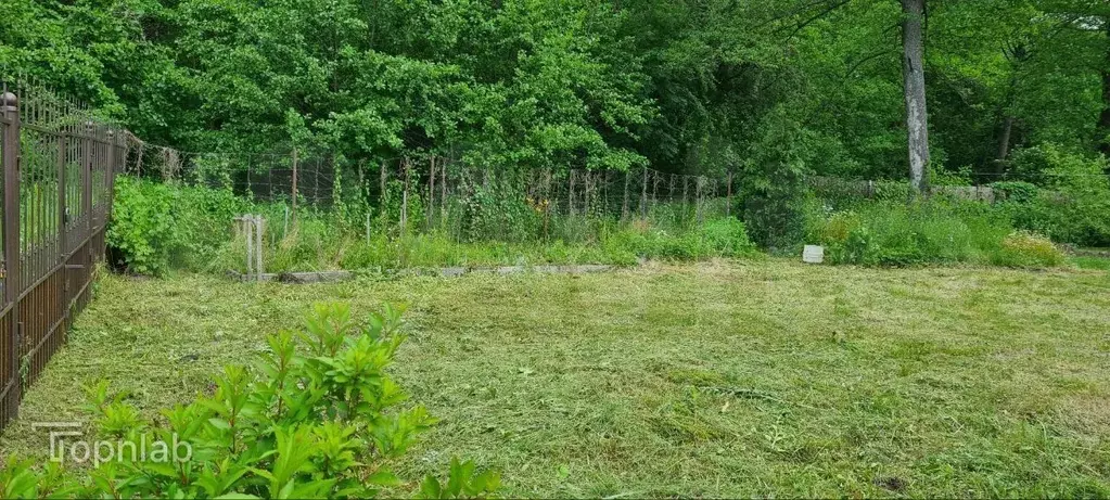 Участок в Калининградская область, Калининград Калачево СНТ, проезд ... - Фото 2