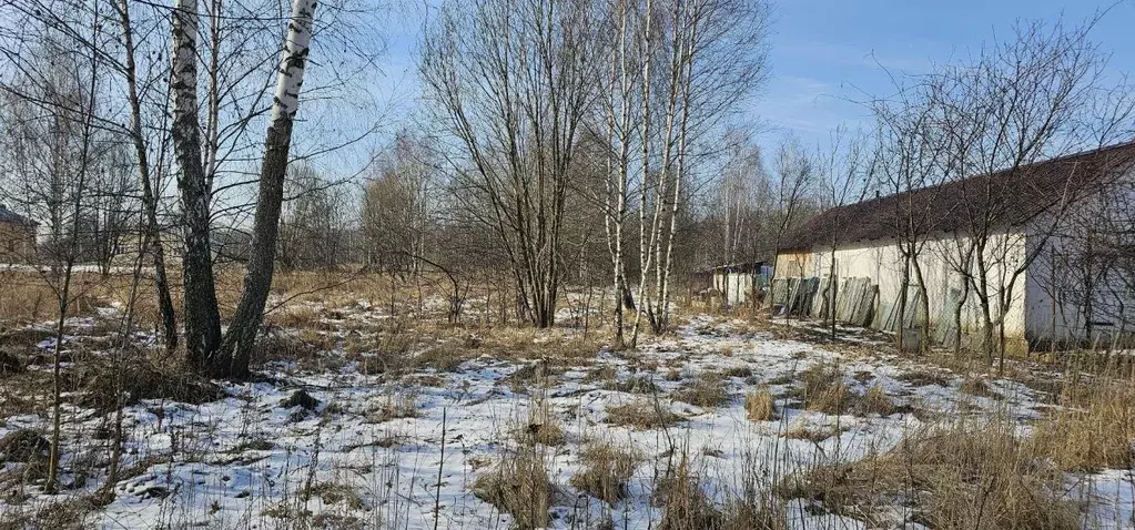 Участок в Московская область, Луховицы ул. Славянская, 7 (12.0 сот.) - Фото 1