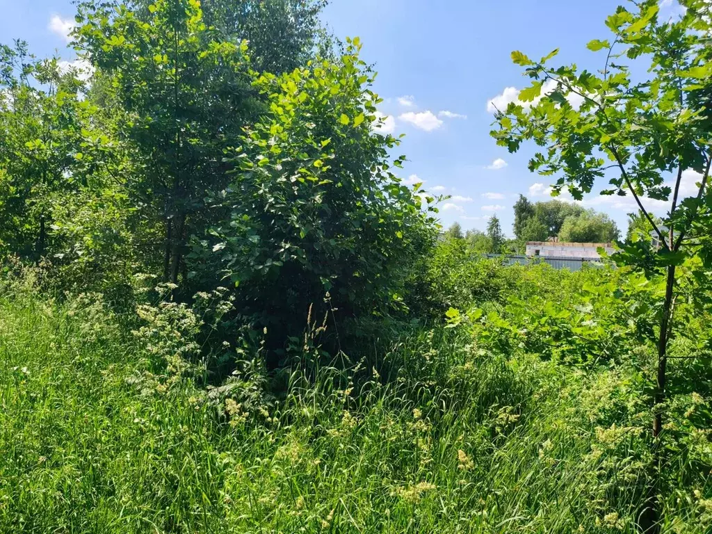 Участок в Московская область, Домодедово городской округ, с. ... - Фото 2