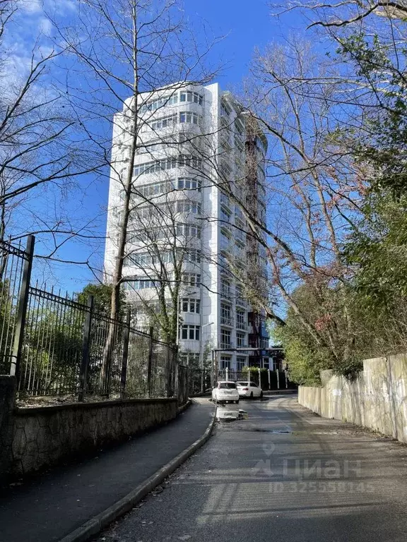 Студия Краснодарский край, Сочи Курортный просп., 95/53 (28.9 м) - Фото 1