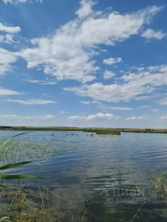 Участок в Волгоградская область, Волгоград ул. Рыжиковая (9.0 сот.) - Фото 1