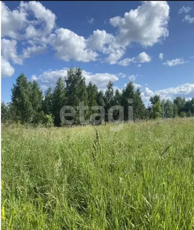 Участок в Алтайский край, Первомайский район, с. Санниково ул. ... - Фото 0