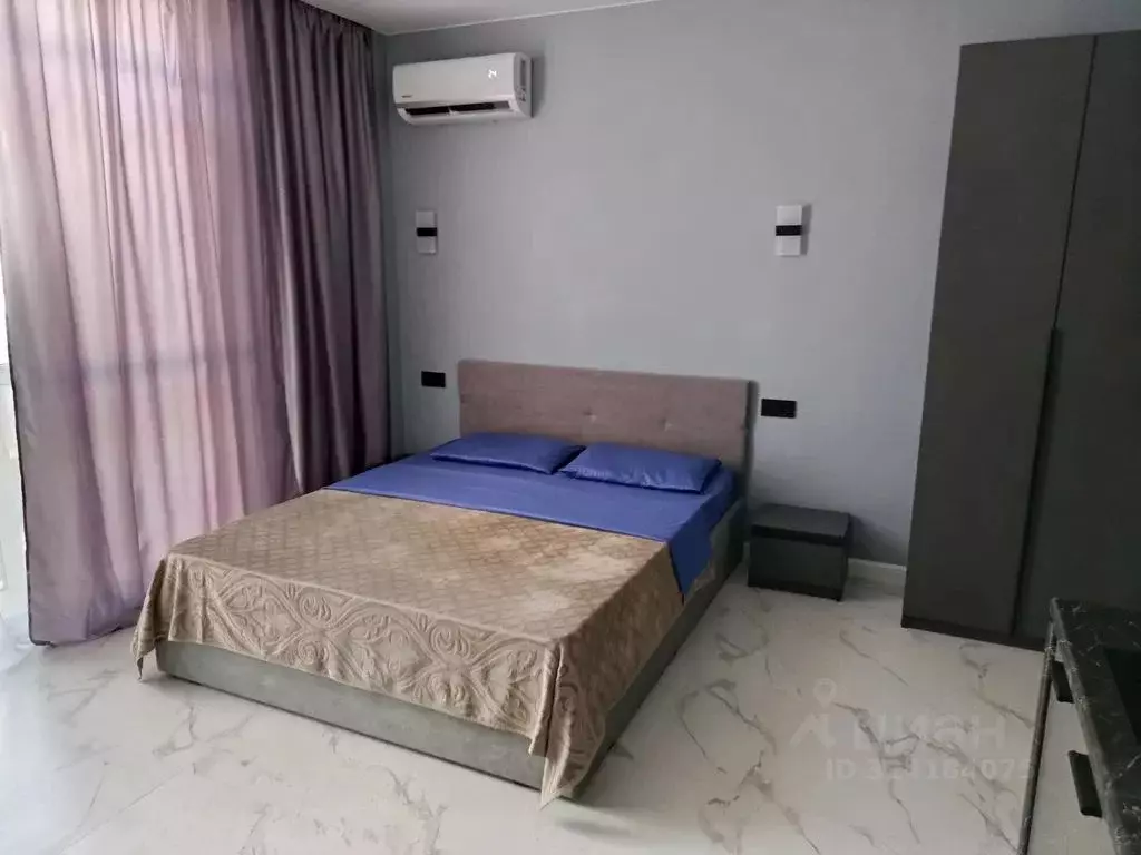 Студия Краснодарский край, Сочи ул. Ленина, 219/31Б (23.0 м) - Фото 2