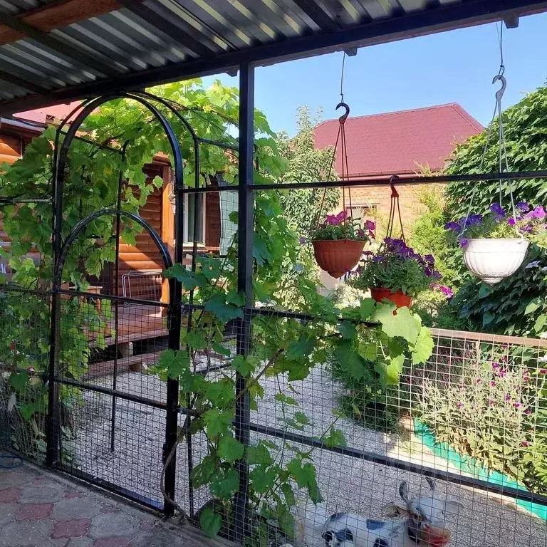 Дом в Краснодарский край, Ейский район, Должанская ст-ца Клубный пер., ... - Фото 1