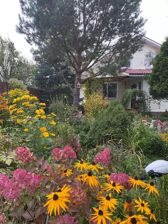 Дом в Тверская область, Конаково ул. Свердлова, 5 (231 м) - Фото 2