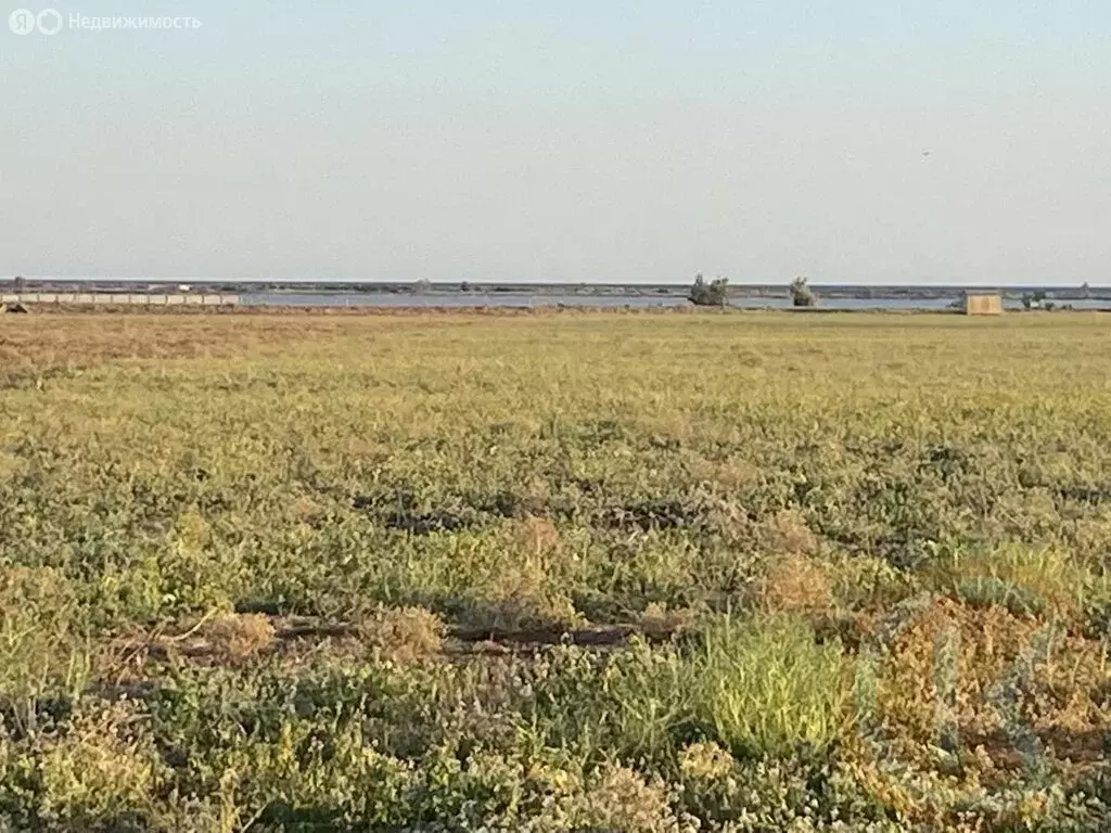 Участок в Межводное, улица К. Гришаева (5 м) - Фото 1