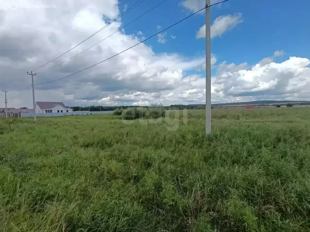 Участок в Кармаскалинский район, Подлубовский сельсовет, деревня ... - Фото 1