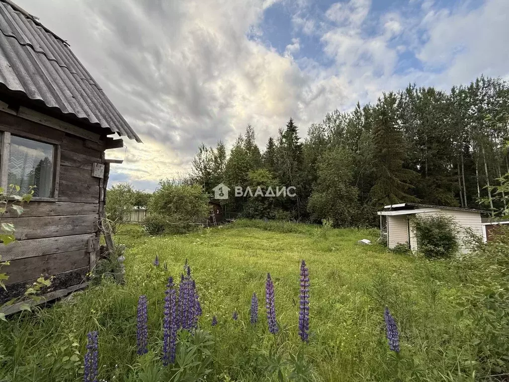 Дом в Карелия, Прионежский муниципальный район, Деревянкское с/пос, ... - Фото 2