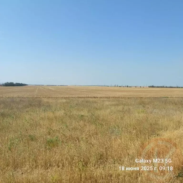 Участок в Крым, Черноморский район, с. Новоивановка  (100.0 сот.) - Фото 0