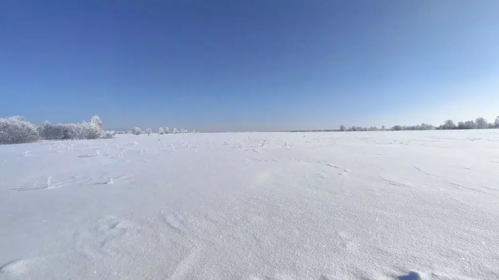 Участок в Московская область, Раменский муниципальный округ, д. ... - Фото 2