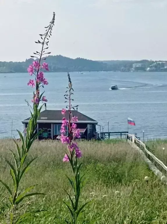 Дом в Карелия, Сортавальский муниципальный округ, пос. Рантуэ 5 (30 м) - Фото 0