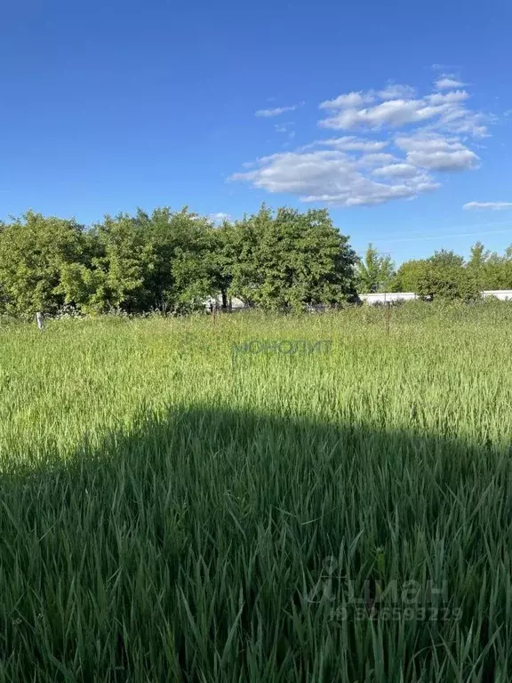 Участок в Нижегородская область, Дальнеконстантиновский муниципальный ... - Фото 1