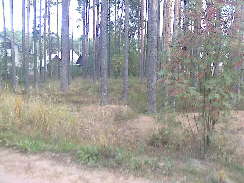 Участок в Ленинградская область, Приморск Выборгское ш. (12.0 сот.) - Фото 0