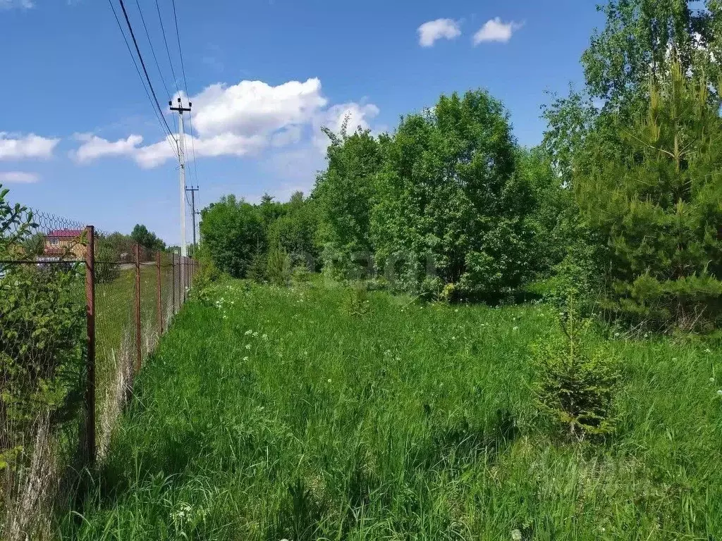 Участок в Московская область, Одинцовский городской округ, д. ... - Фото 1