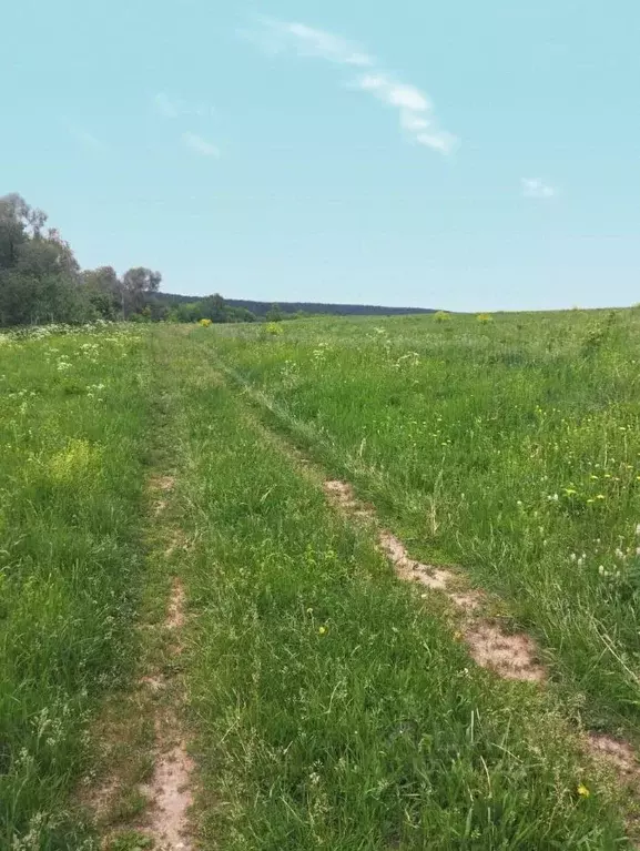 Участок в Татарстан, Лаишевский район, с. Державино  (1040.0 сот.) - Фото 1