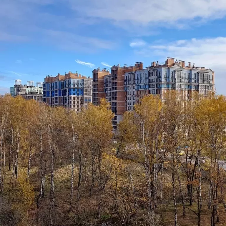 1-к кв. Московская область, Одинцовский городской округ, с. Лайково, ... - Фото 2