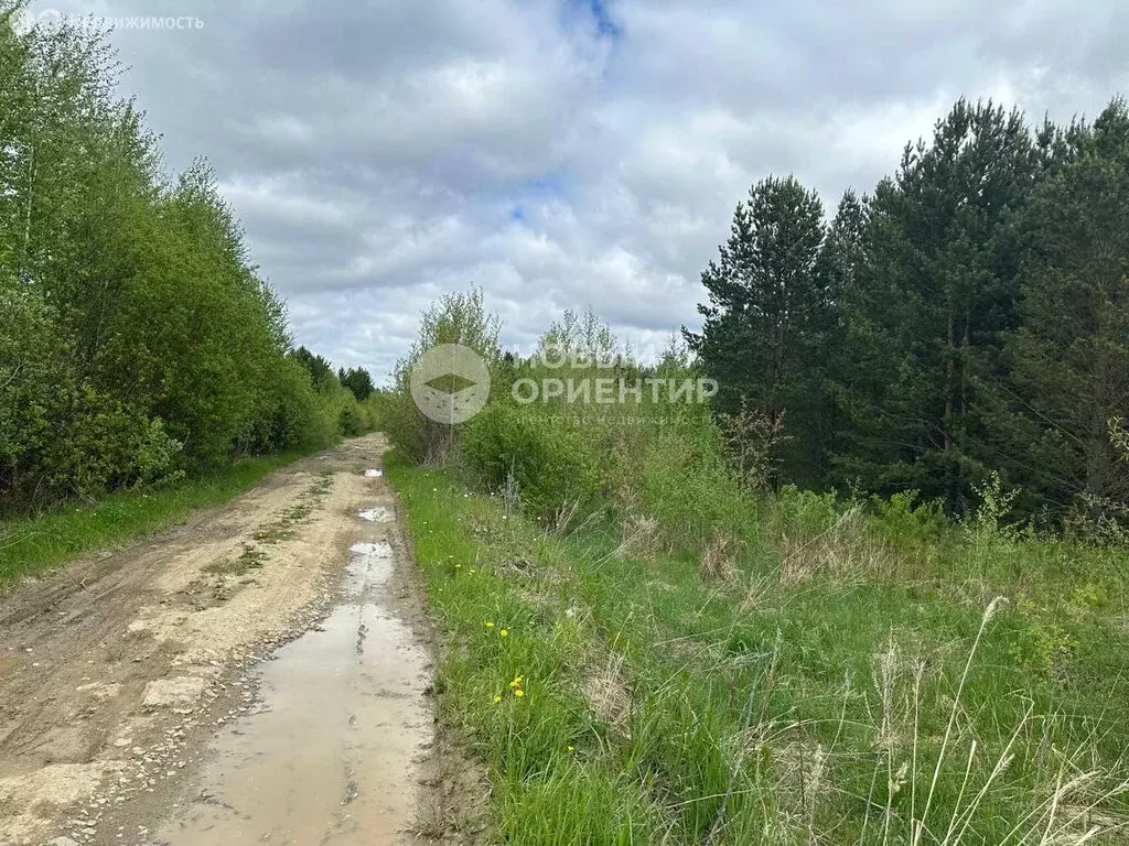 Участок в посёлок Гагарский, загородный комплекс Лайф, 6-я Парковая ... - Фото 1