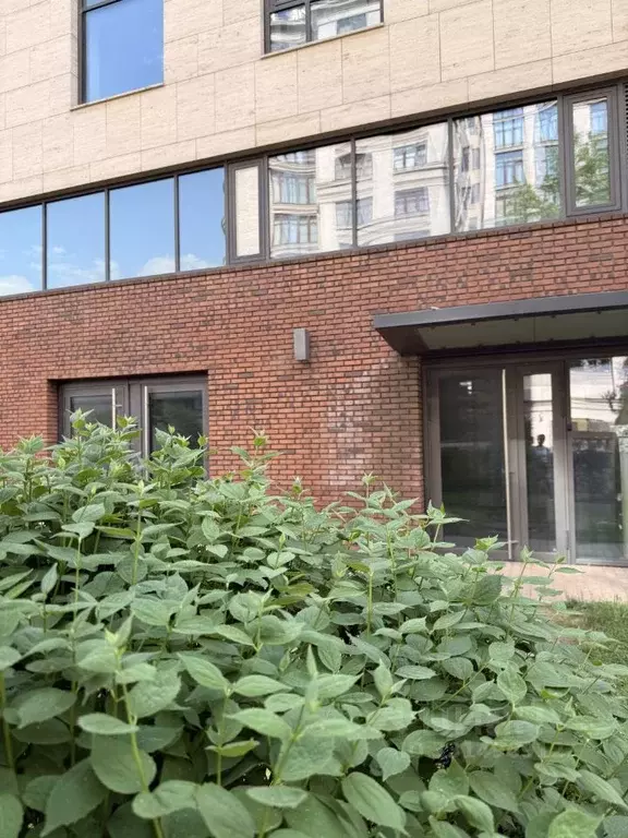 Помещение свободного назначения в Москва Трубецкая ул., 12 (173 м) - Фото 1