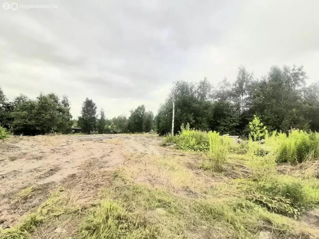 Участок в посёлок Петро-Славянка, СНТ Красноармейское, 42 (10 м) - Фото 2
