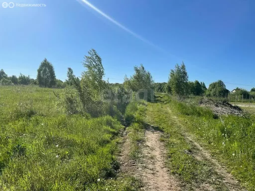 Участок в Ярославский муниципальный округ, посёлок Ченцы (17.5 м) - Фото 1
