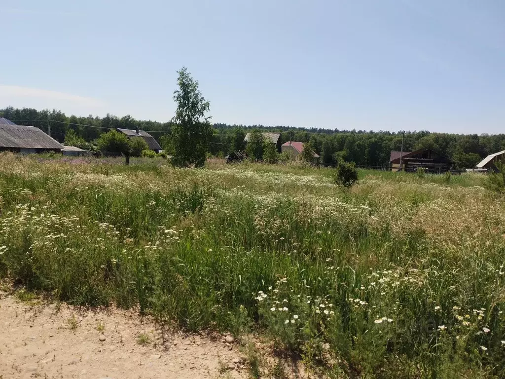 Участок в Иркутская область, Иркутский муниципальный округ, д. ... - Фото 0
