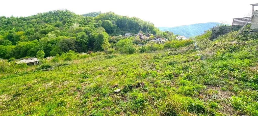 Участок в Краснодарский край, Сочи Приморье мкр,  (8.0 сот.) - Фото 2